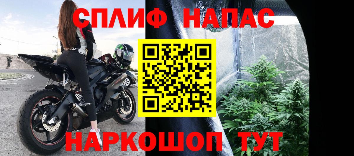 Конопля гибрид  Каннабис тримм  Малгобек  Шишки марихуана Amnesia  Вход с VPN 